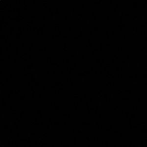 Meet your Posher, Abbi